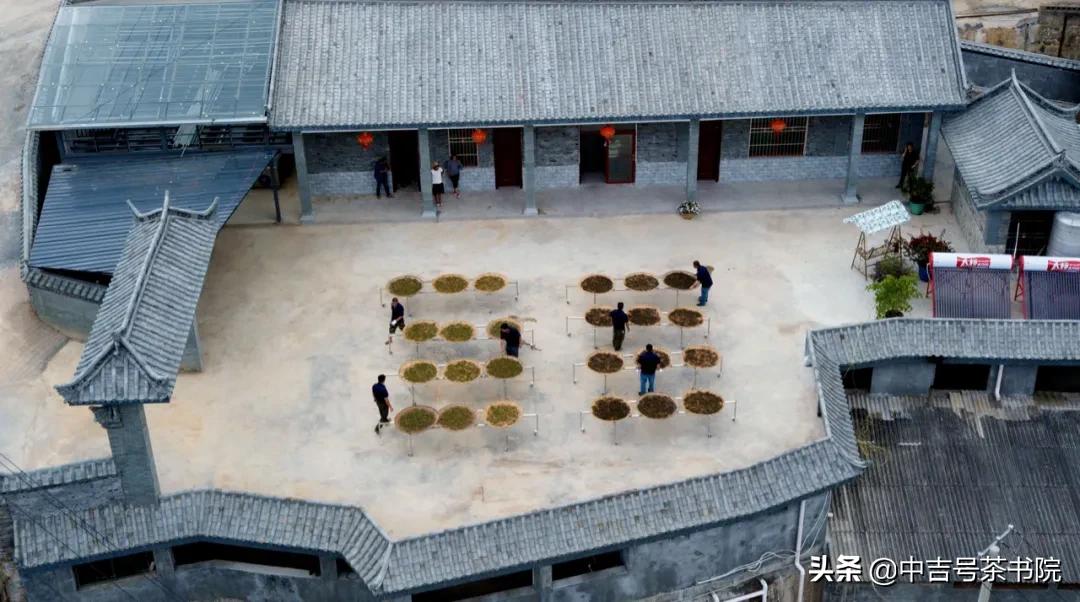 超级茗星闪耀登场|中吉号开山力作——2021纯麻黑终于来了