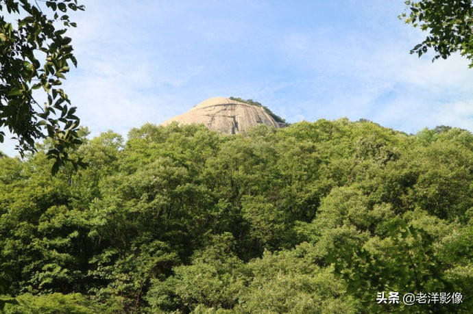 藏龙大别山度假酒店,罗田天堂寨藏龙大酒店价格