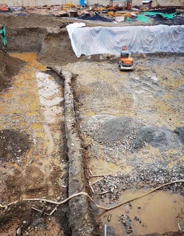 地下挖出千年阴沉木,中国出土最大的阴沉木