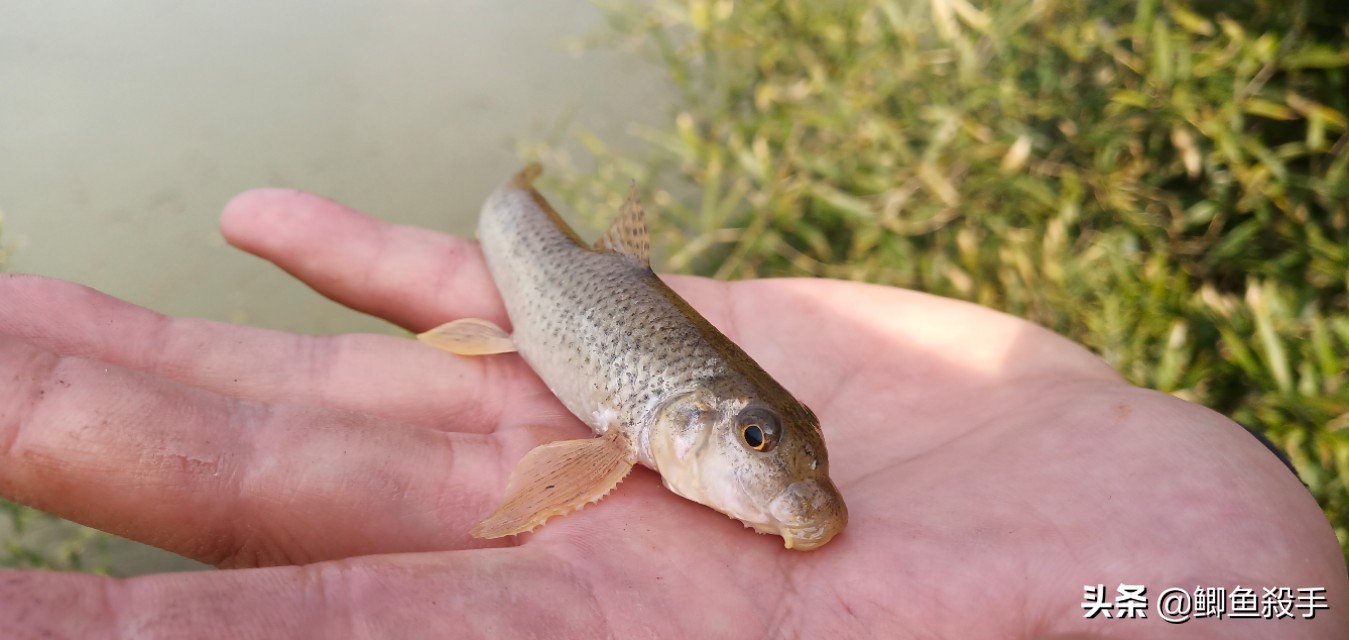 渔民沙里趴现状,渔民为什么不能沙里趴