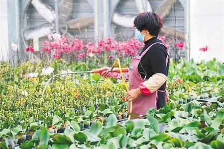 脱贫攻坚书写乡村振兴新画卷,书写新时代奋斗征程新篇章