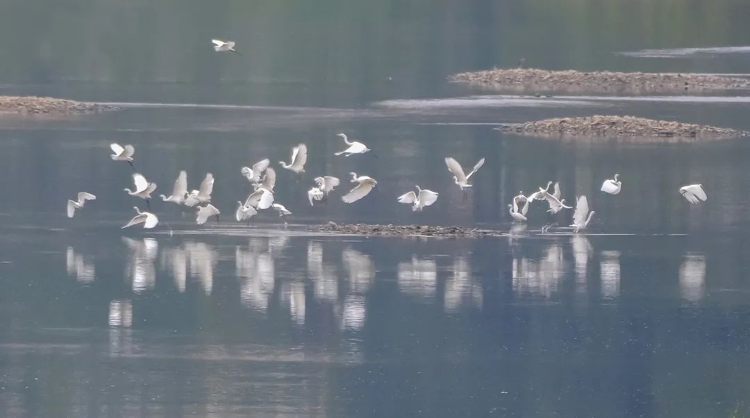 「生态」我在恩平很幸福