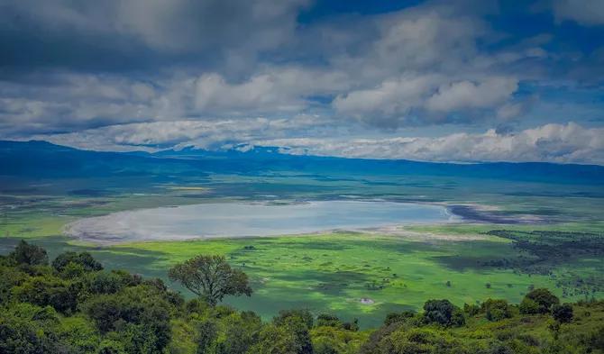 坦桑尼亚之旅,坦桑尼亚东非草原