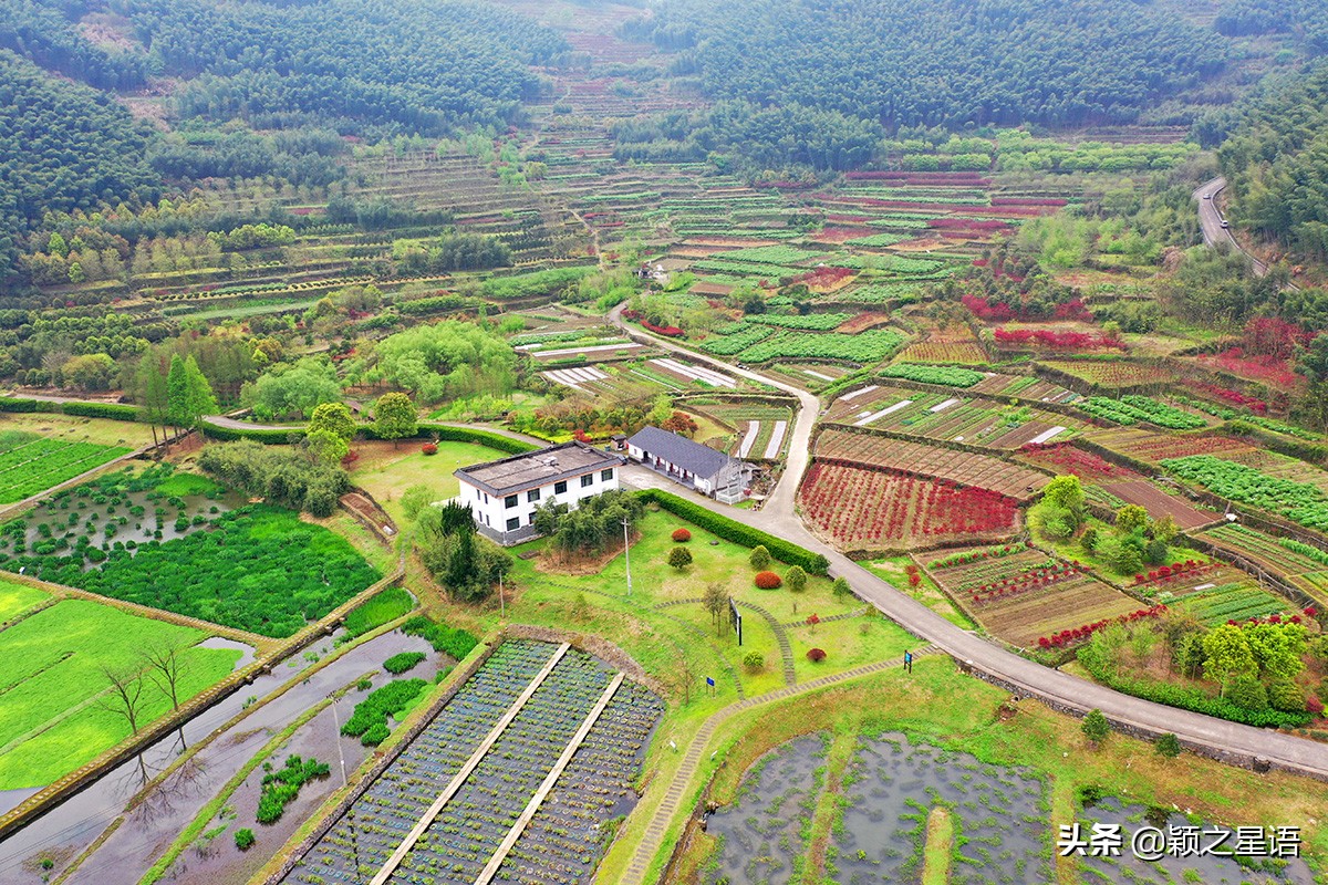 宁波牡丹花园有哪些,宁波古今牡丹园