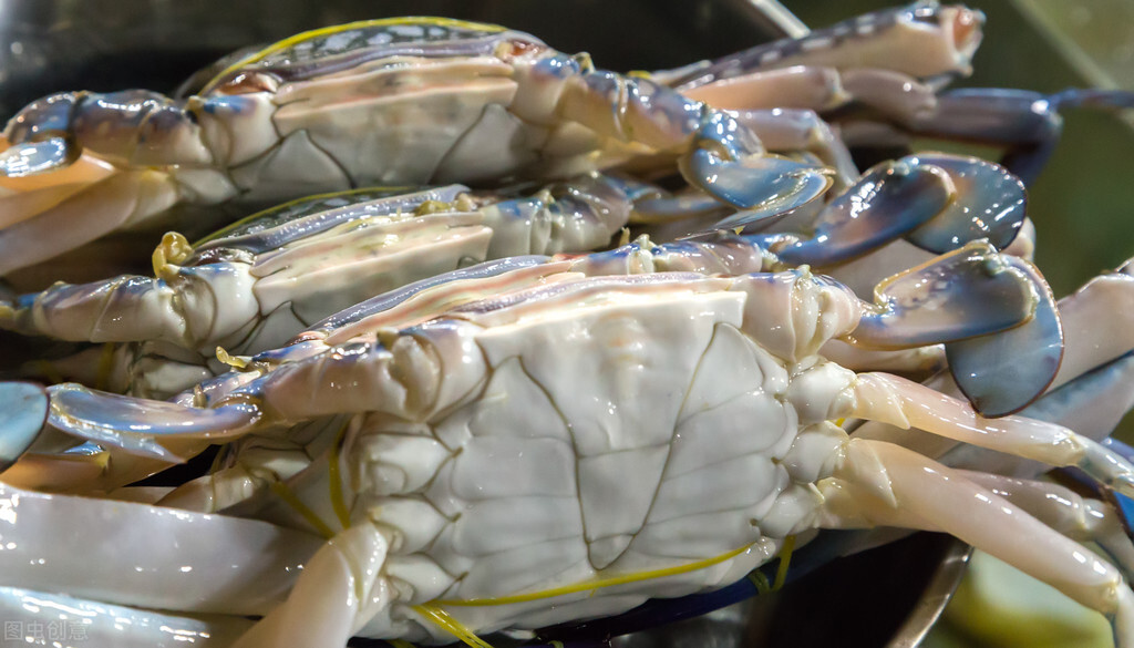 手把手教您挑梭子蟹,一招教你挑选梭子蟹