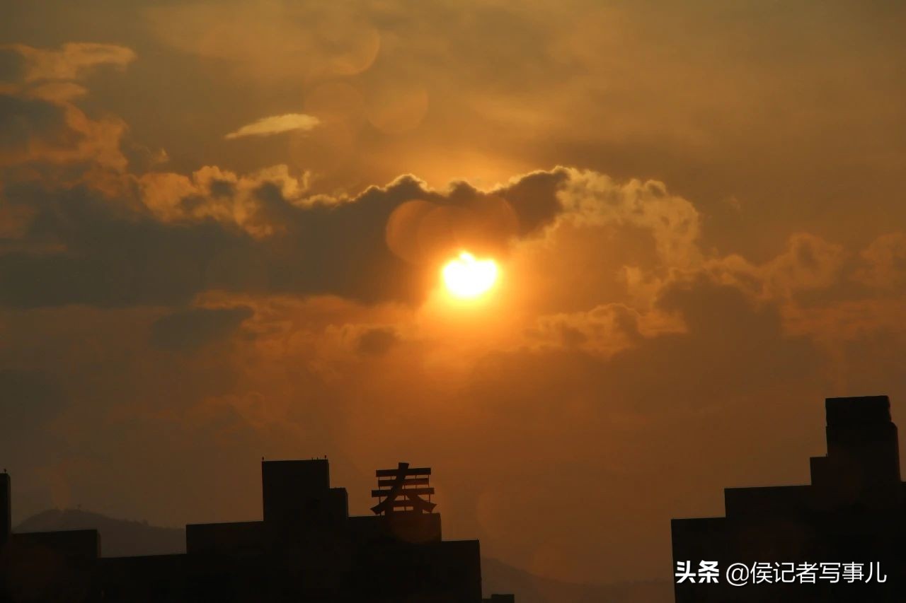 史蒂夫净水器和其他品牌的区别 (史蒂夫净水器是山寨版吗)