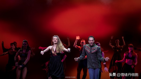 邮轮游选择哪个游轮好,邮轮旅游全攻略公主号