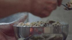 你，为什么会来南京？