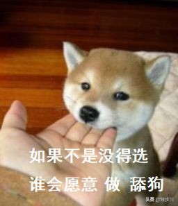 闂查奔琚浆鍗栫殑鑸旂嫍,涓冨闂查奔