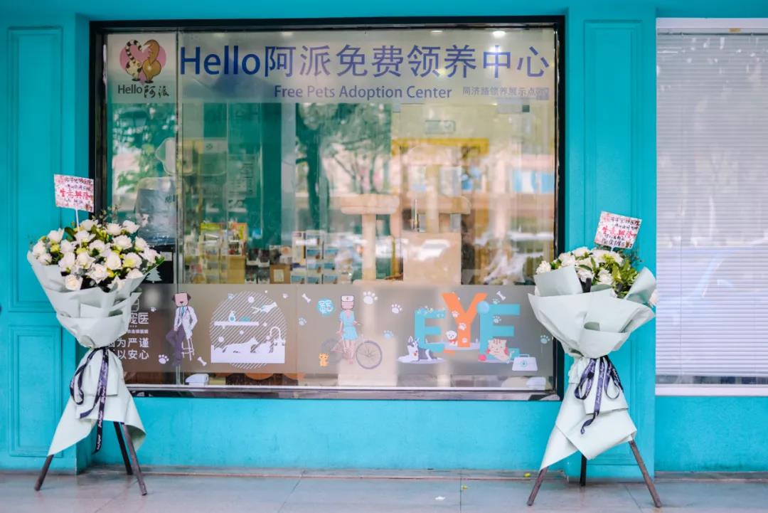 CPF活动预告|阿派第30届领养日——人间值得，只要它能与你相遇