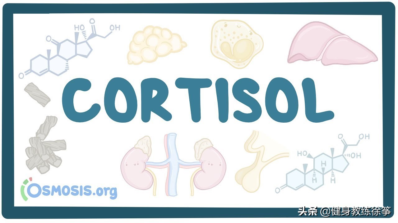 怎么缓解运动皮质醇过高,皮质醇如何改善
