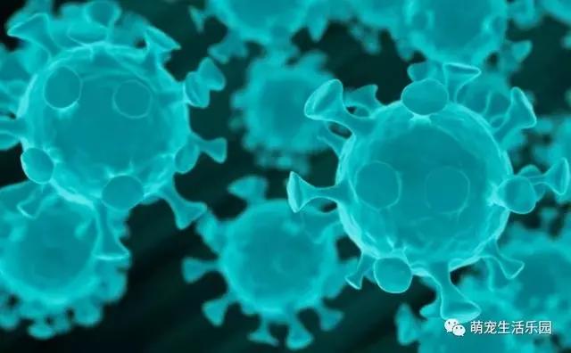 如果不小心感染上冠状病毒，治疗康复大概需要花多少钱？