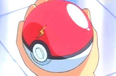 大西洋发现神秘的生物,罕见的大西洋蓝龙