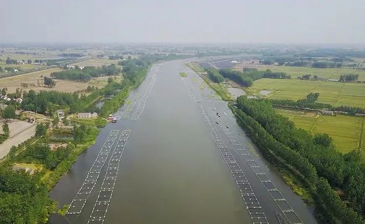 “全村的希望”：我帮“留守老人”卖土特产，收购价主动涨五元