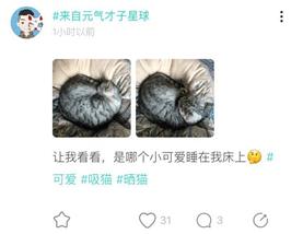 soul内容营销过程,soul社交app的盈利模式