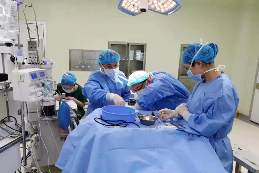 脑损伤新突破,重度颅脑损伤急救