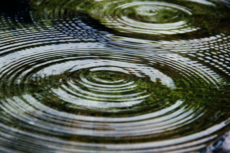 大暑的五种美,小暑的七种食物