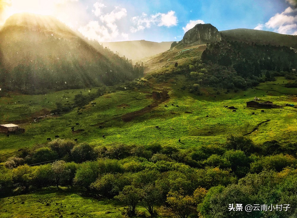 玛娜茶金观景点,玛娜茶金观景台旅游攻略
