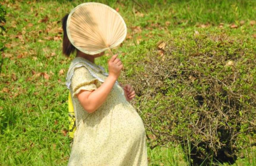 孕吐严重不想吃孕酮了,孕早期孕吐严重食欲不佳该吃什么