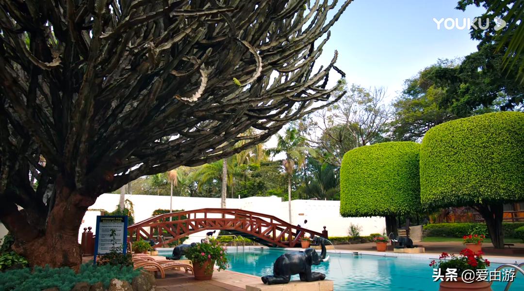 《猎狐》行动,200万能在非洲挥霍一生吗?