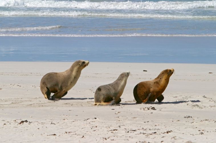 29个资深驴友才知道的澳洲秘境,下