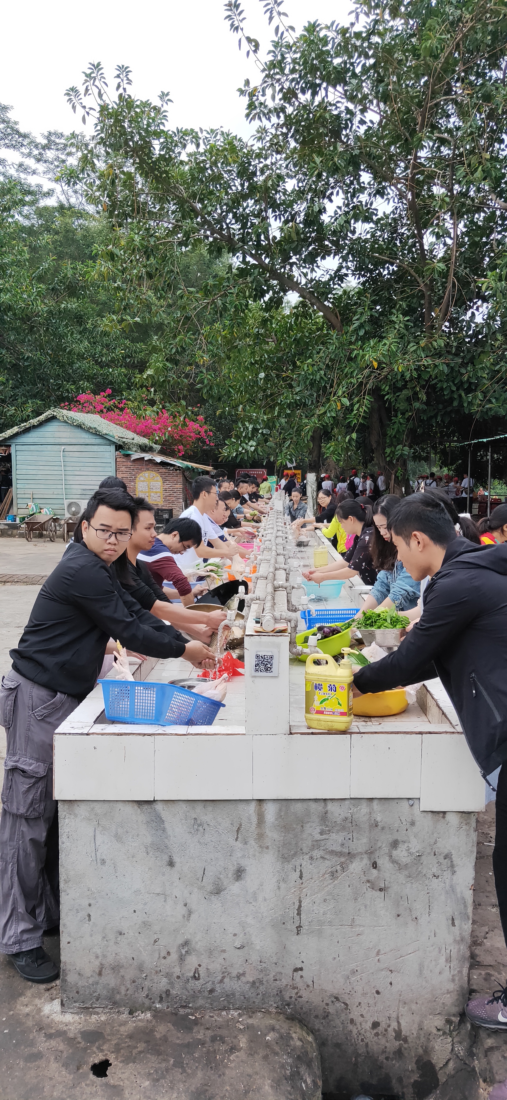 端午节出游的好农庄--九龙生态园是公司组织休闲娱乐好地方