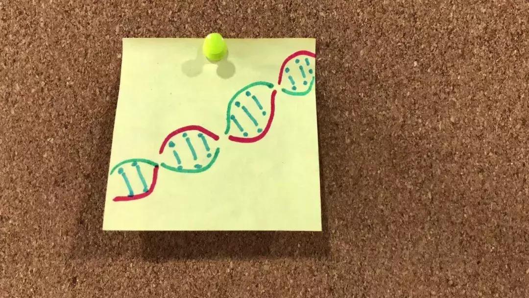 tob生意商业模式,最新tob的商业模式