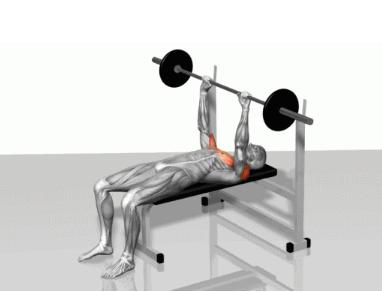 健身卧推肩胛骨缝隙疼怎么回事,新人卧推空杆都举不动怎么办