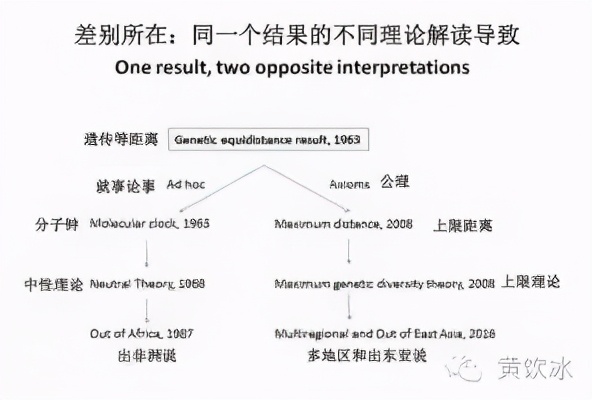 人类起源的演化过程问题和答案,人类起源观点是什么