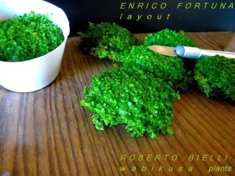 如何打造景观小缸,院子简易水景流水缸制作方法图片