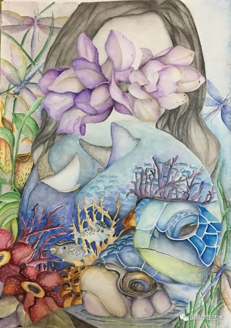 赛事丨EarthX-美国2022年国际生态艺术大赛