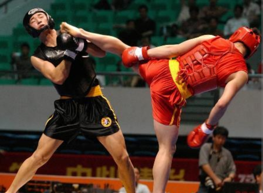 散打和自由搏击的区别,拳击散打自由搏击区别