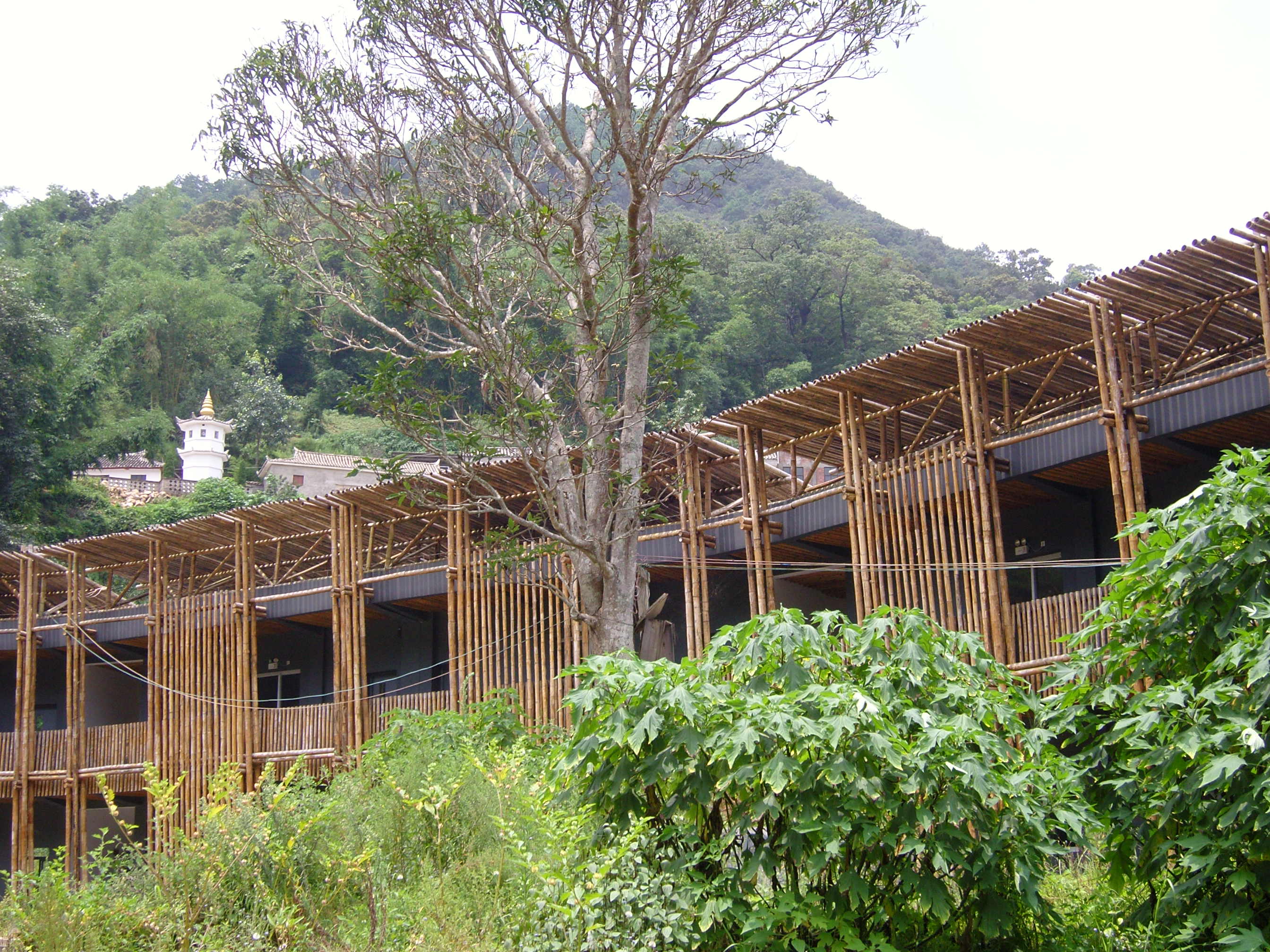 恍若光年一个孩子学习英语路上的故事