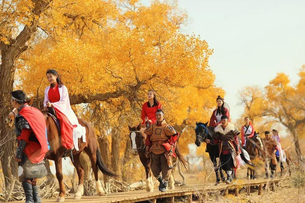 额济纳旅游自由行攻略,额济纳旗旅游最佳省钱攻略