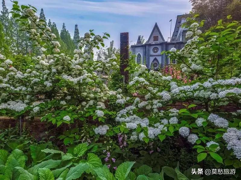 南京怪坡风景区,江宁怪坡风景区