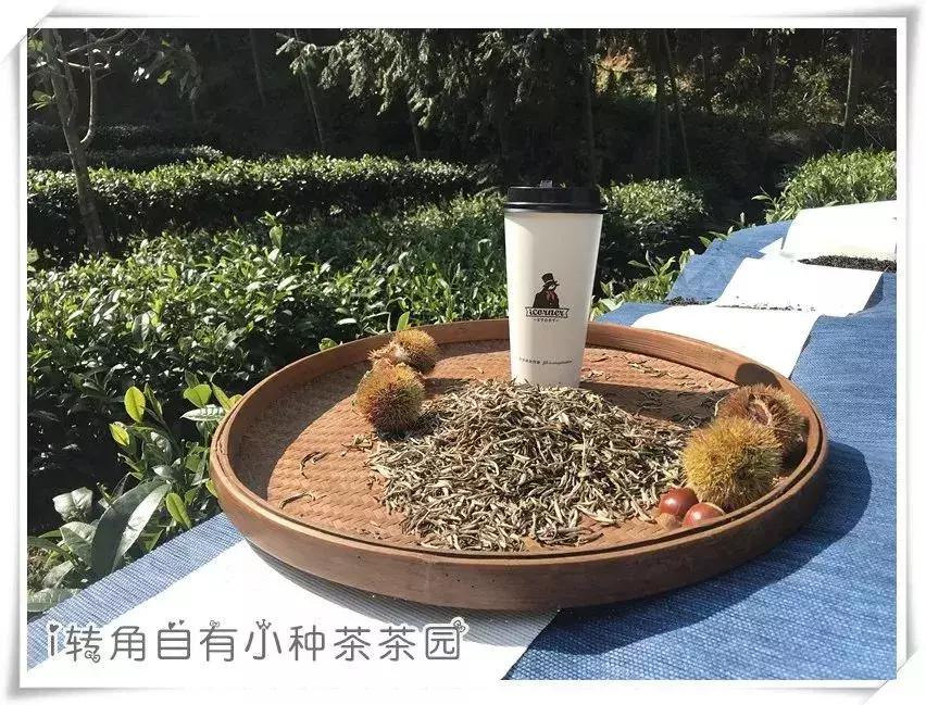 天冷适合喝什么热饮暖胃,寒冷冬日这4款热饮不容错过