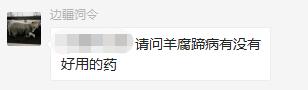 羊腐蹄病的最佳治疗方法,羊病专家在线解答