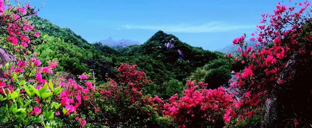 西泰山是什么样的,西泰山为啥叫西泰山