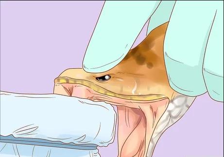 世界最危险的6份工作,世界上最危险的工作一千几百万