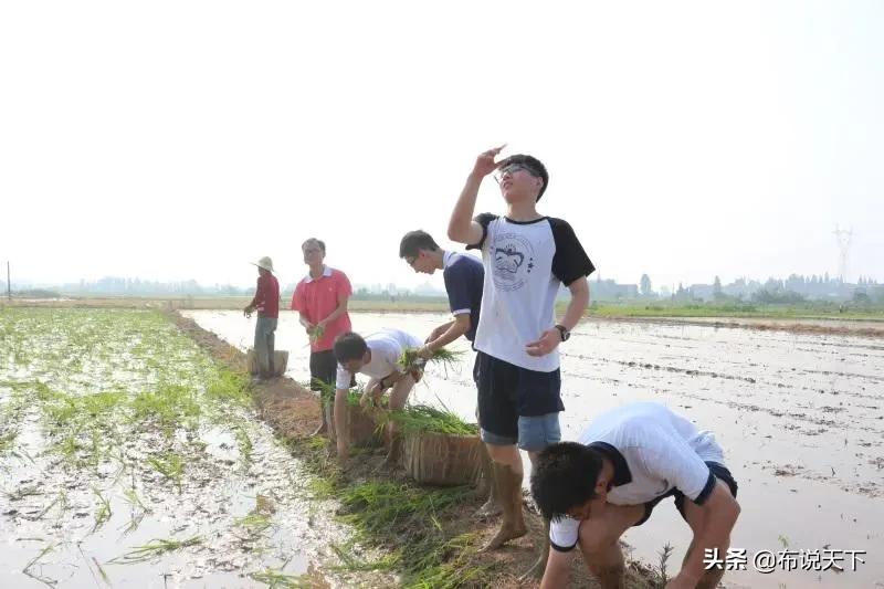 长郡梅溪湖中学和长郡中学,长郡梅溪湖中学配套入学范围