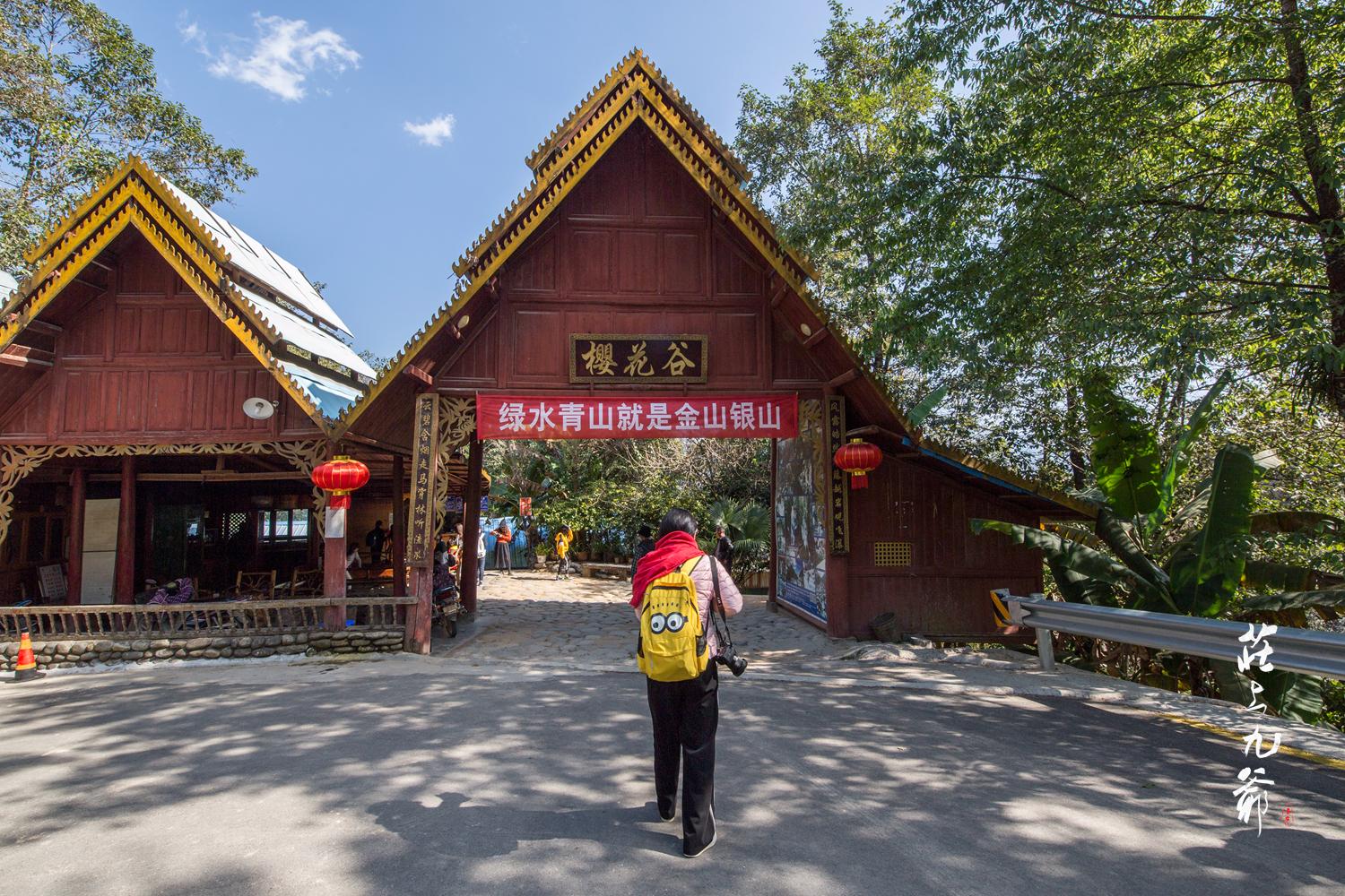 高黎贡山秘境森林,高黎贡山樱花谷温泉
