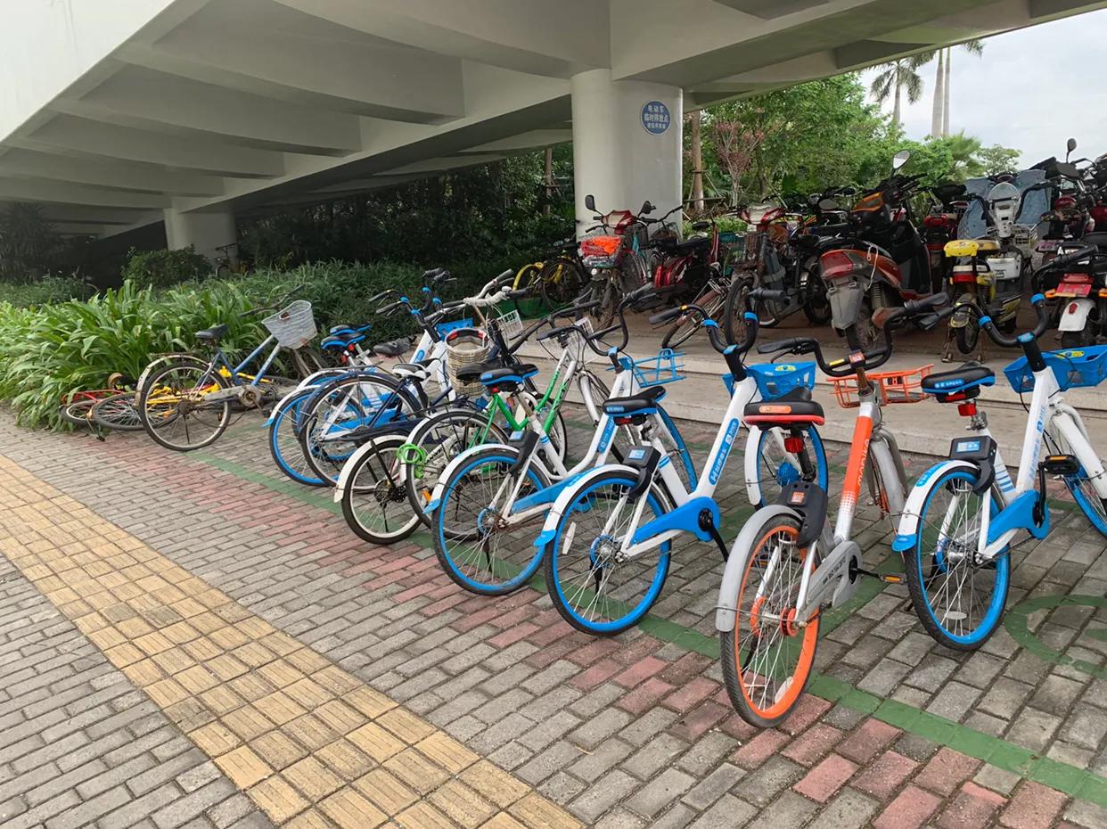 元翔厦门空港团委组织开展“美丽空港”主题志愿者活动