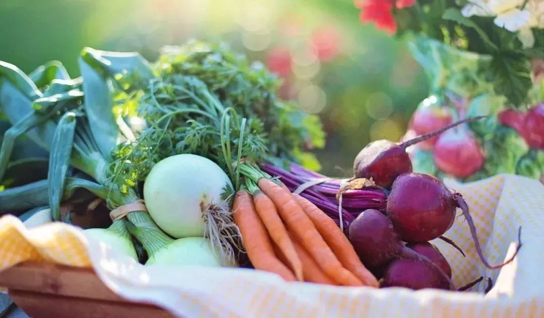 中国有机农业经营,以后中国会普及有机农业吗