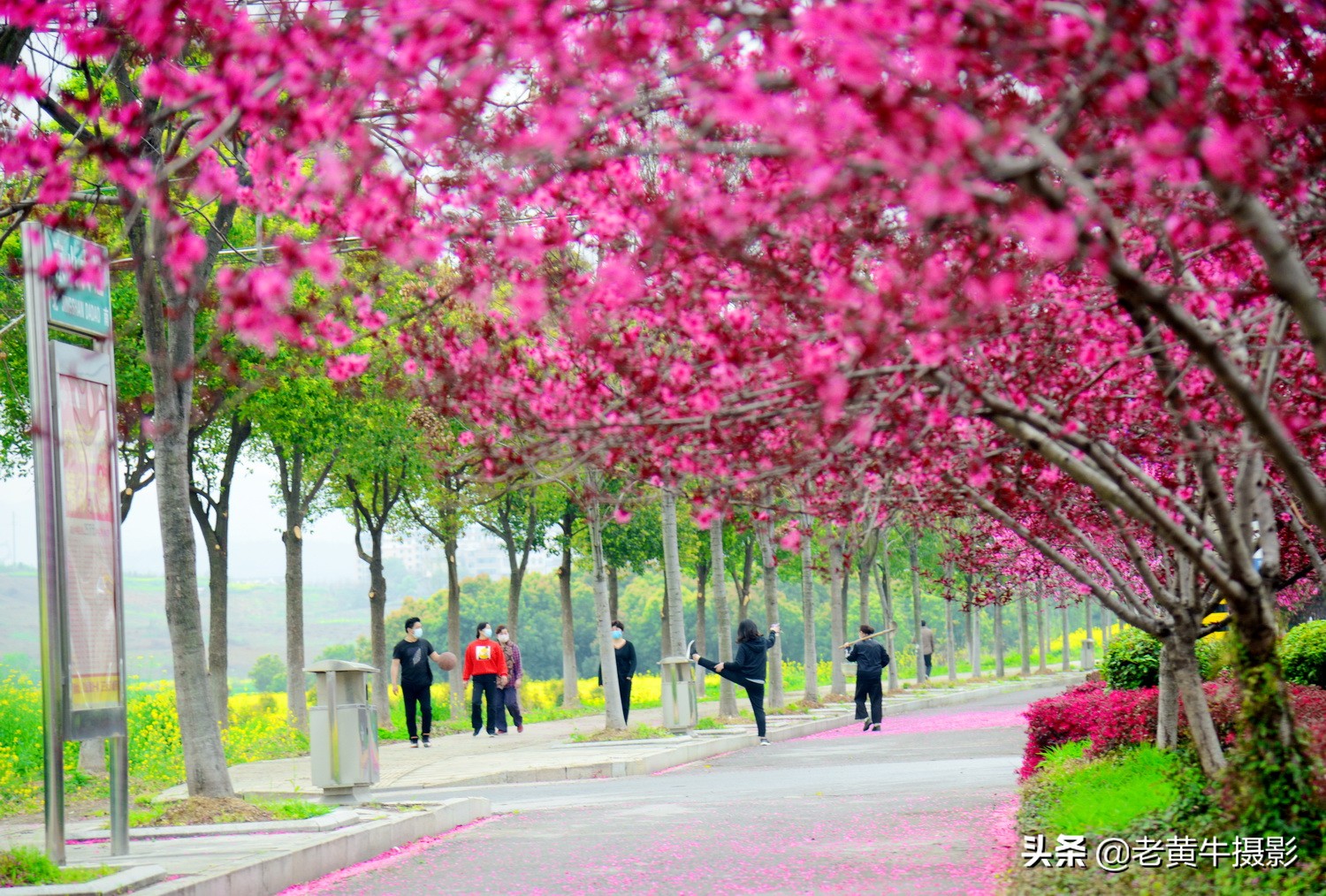 湖北京山摄影,京山摄影作品