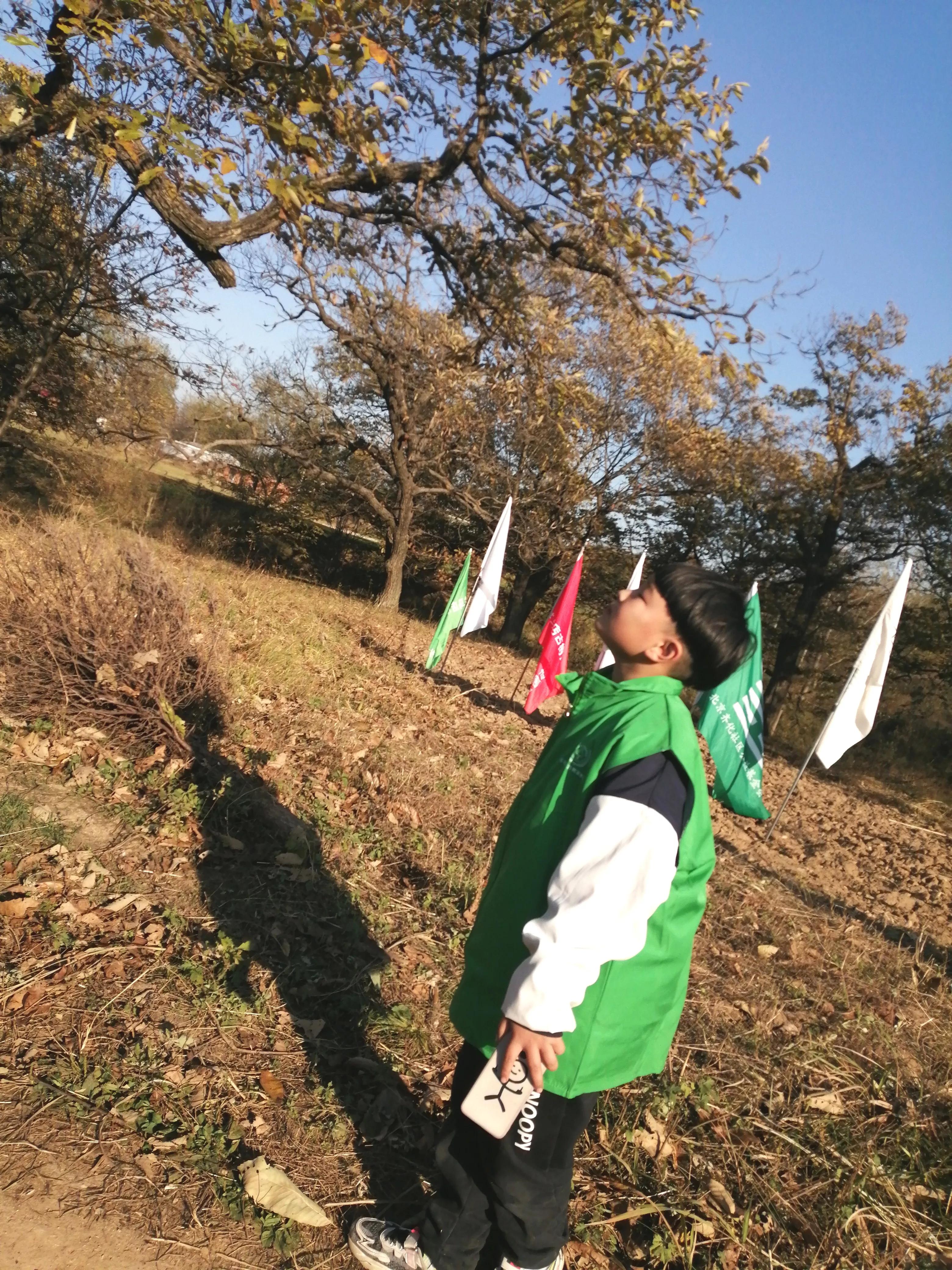 驻马店志愿者行动,驻马店古树保护志愿