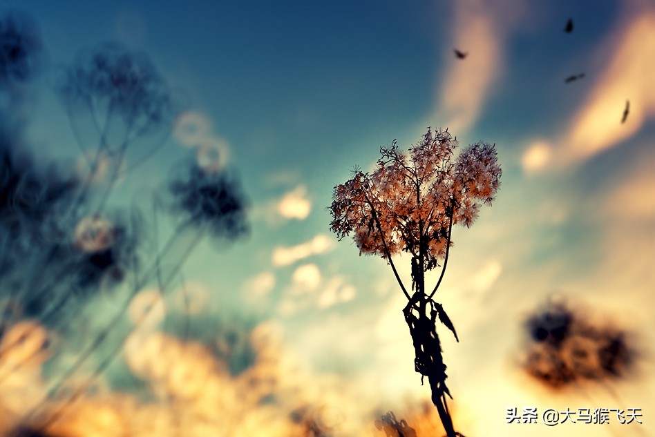 4个再婚女人道出心声,3个已婚女人说出心里话