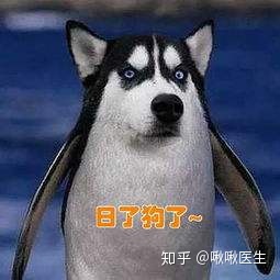 “包治百病”的卫生巾,为什么那么多人会上当?