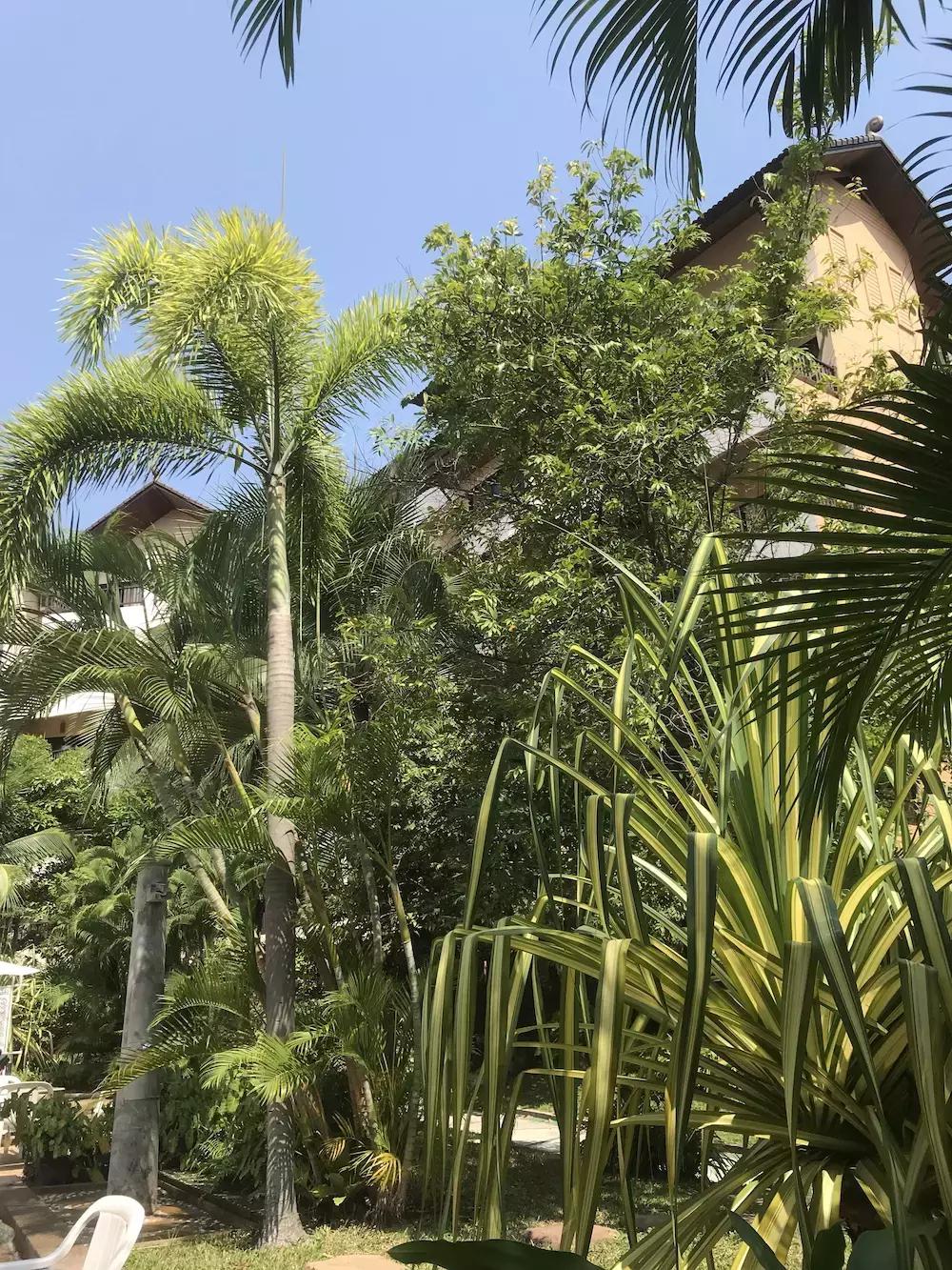 我的泰国吃住行攻略,住泰国的感受和体验