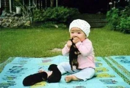 怀孕了还是想养猫猫狗狗怎么办?华西专家:可以养,但绝不能随便养!