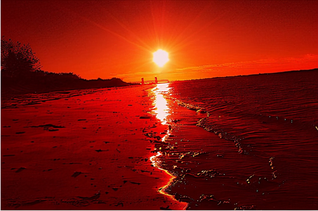 想象的中国足球,抄近路的中国足球